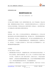葡萄酒网络营销方案