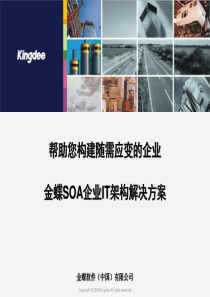 金蝶SOA企业IT架构解决方案-全面版