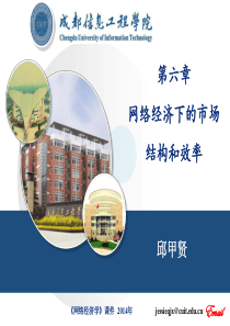 第六章网络经济下的市场结构和效率.