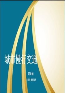 第十一章城市慢行交通