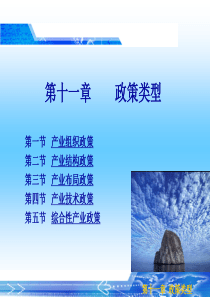 第十一章政策类型.