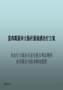 蛋鸡霉菌和大肠杆菌的混感治疗方案