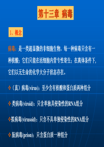 第十三章病毒学.