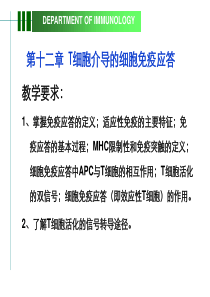 第十二章_T淋巴细胞介导的细胞免疫应答