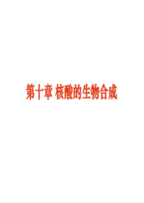 第十章+核酸的生物合成.