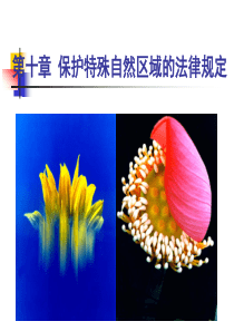 第十章-自然保护区.