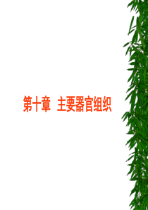第十章主要器官组织.