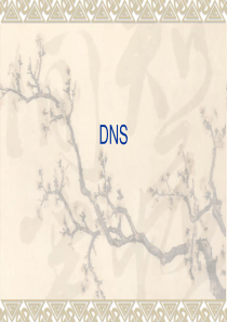 DNS协议ppt