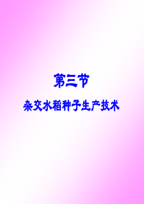 第四章杂交种子生产(4水稻)