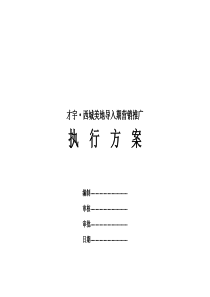 西城美地导入期推广执行方案