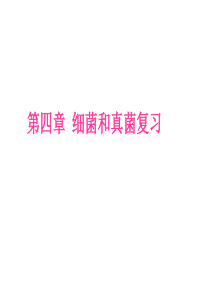 第四章第五章细菌和真菌病毒复习