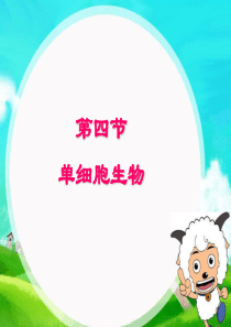 第四节-单细胞生物