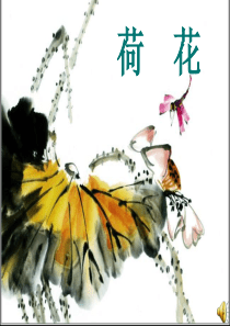第四节荷花