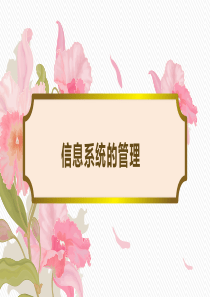 管理信息系统开发案例.