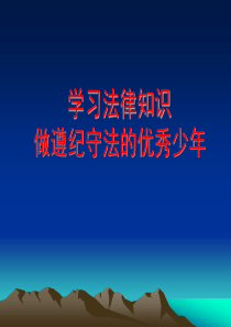 法制教育课件