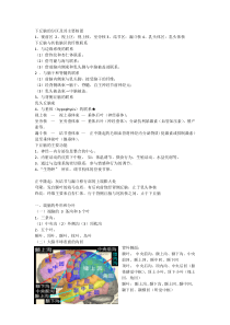 系统解剖学端脑外形