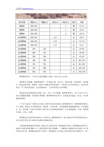 紫荆树的种子