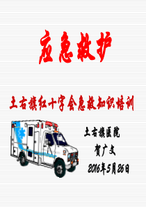 红十字会救护培训(户外旅行).