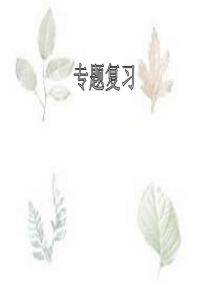 八年级物理专题复习-习题