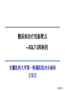 最新-达格列净的疗效与安全ppt课件-PPT文档资料