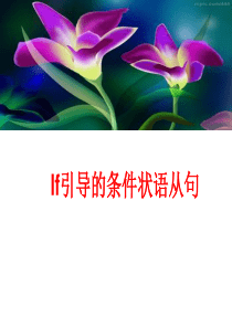 If引导的条件状语从句