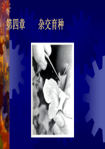 园林植物遗传育种学第四章杂交育种