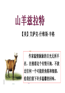 《山羊兹拉特》-十分优秀课件