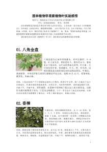 园林植物学观察植物实验感悟