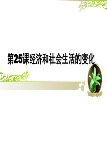 第25课经济和社会生活的变化.ppt