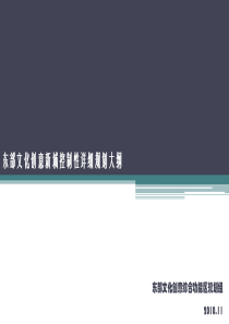 成都东部新城功能区控规大纲p