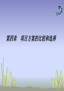 第4章项目方案的比较和选择