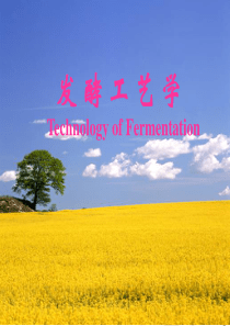 第5章生产菌种的制备与保藏