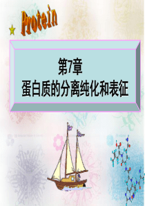 第7章蛋白质的分离纯化和表征.