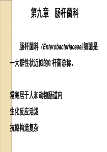 第9章肠杆菌科.