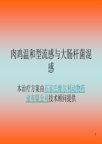 肉鸡温和型流感与大肠杆菌混感的治疗方案