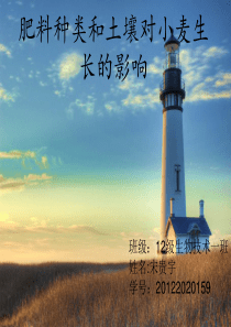 肥料种类和土壤对小麦生长的影响