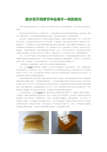 胶水在不同季节中会有不一样的变化