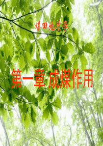 第一章成煤作用.