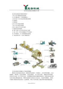 自动化包装流水线解决方案