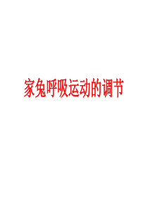 生理学实验家兔呼吸运动调节