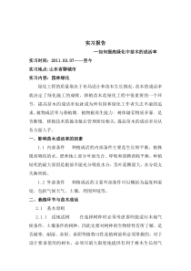 提高园林绿化中苗木成活率