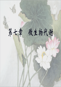 第七章代谢-201508.