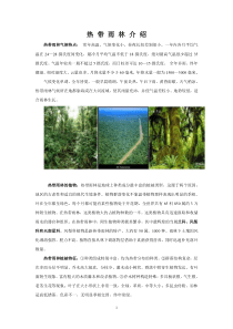 花卉栽培学教案25-热带雨林介绍
