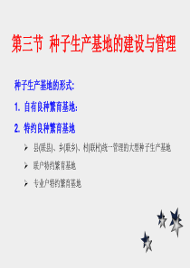 第三章常规品种(1小麦)