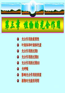 第三章植物的光合作用.