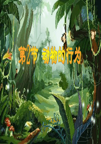 第九章第二节动物的行为鲁广宁一课时