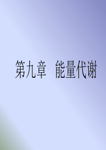 第九章能量代谢.