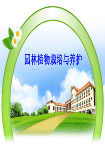 路改造及绿化积土工程方案