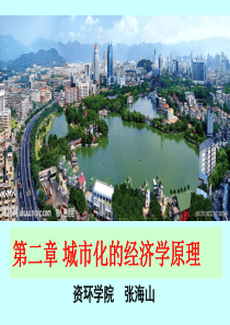 第二章城市化的经济学原理.