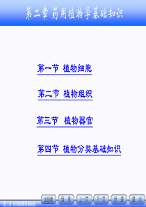 第二章天然药物学基础知识.